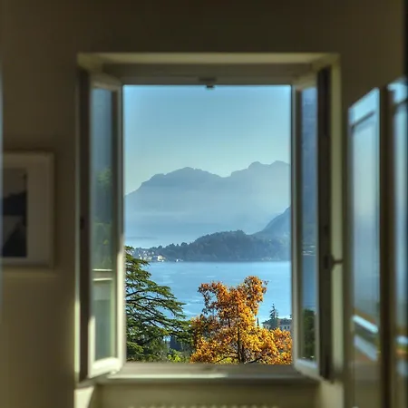 Viviana - By Myhomeincomo